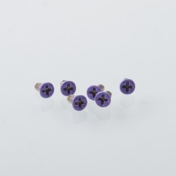 Authentic MK MODS Replacement Screws for Lost Vape Centaurus B80 AIO Kit - Purple (6 PCS)